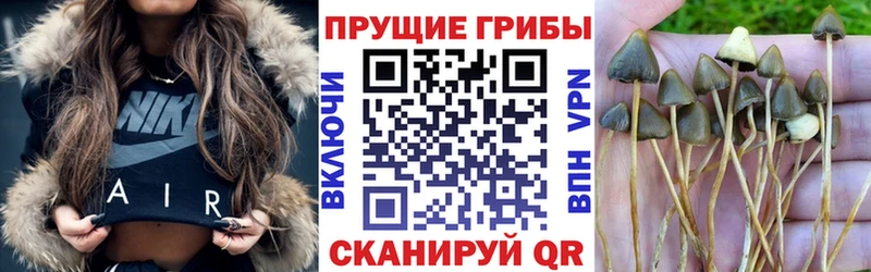 Псилоцибиновые грибы мицелий  наркошоп  Глазов 